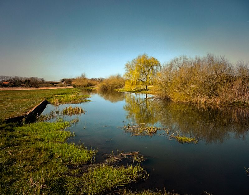 The River Bure.jpg