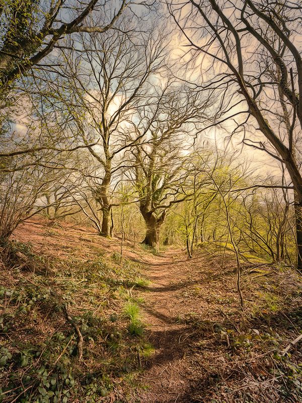 A Walk on the Wildside..jpg