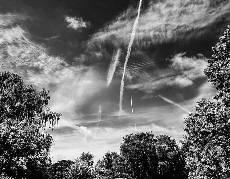 Infrared Sky.jpg