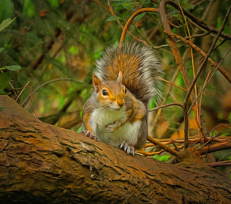 Stopped for a Rest..jpg