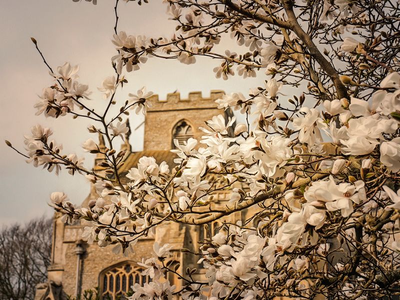 The Church in Spring.jpg