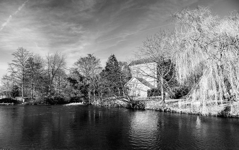 The Millpond.jpg