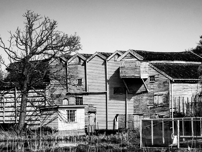 The Old Mill Almost Gone..jpg