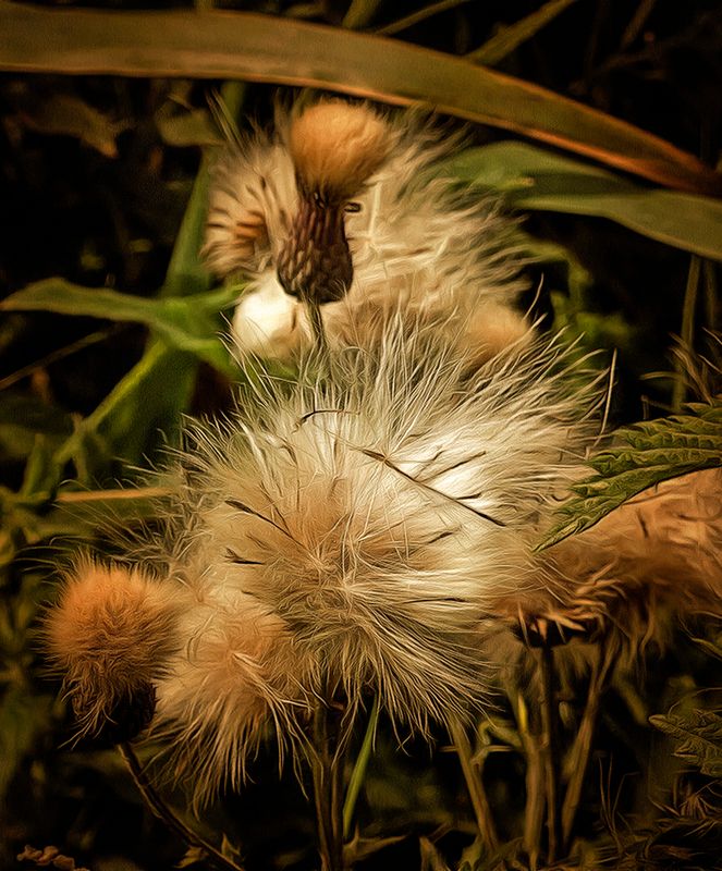 Natures work done for another year.jpg