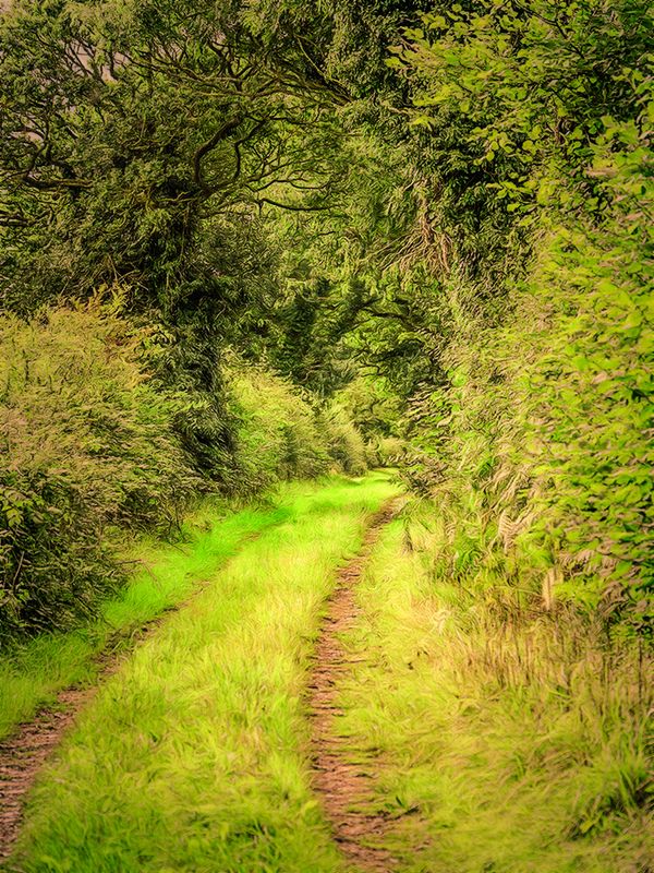 What`s around the Bend.jpg