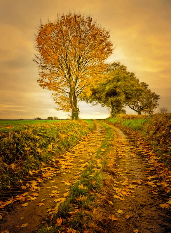 Autumn Leaves.jpg