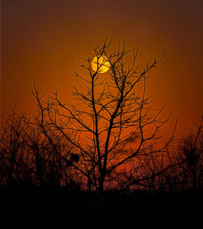 Full moon rising.jpg
