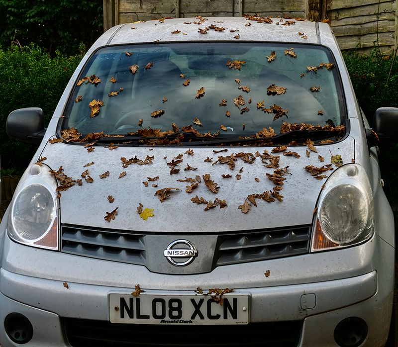 I miss you most of all my darling when autumn leaves start to fall.(Eva Cassidy Taken too young).jpg