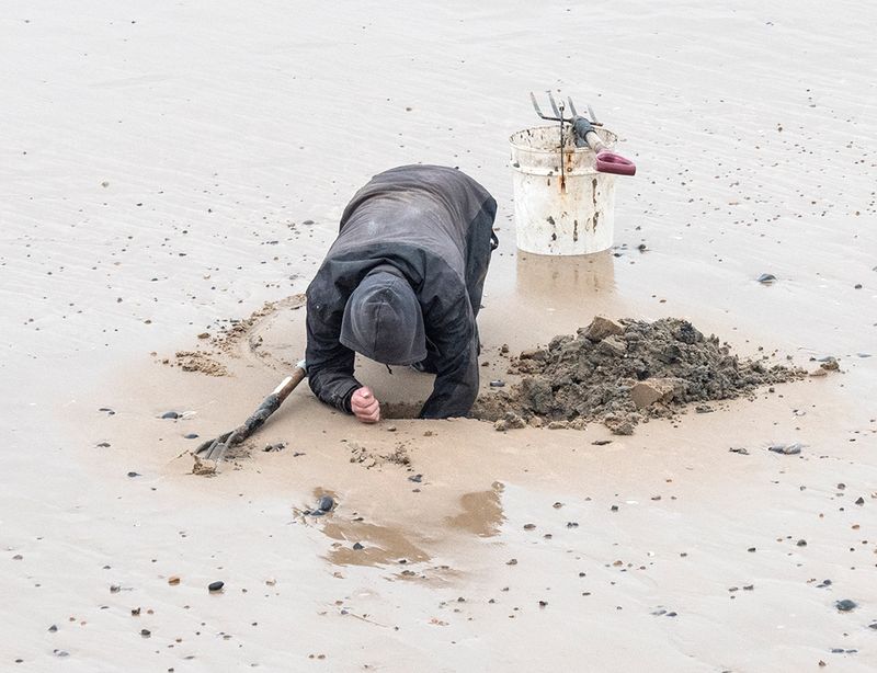 Bait digger 2.jpg