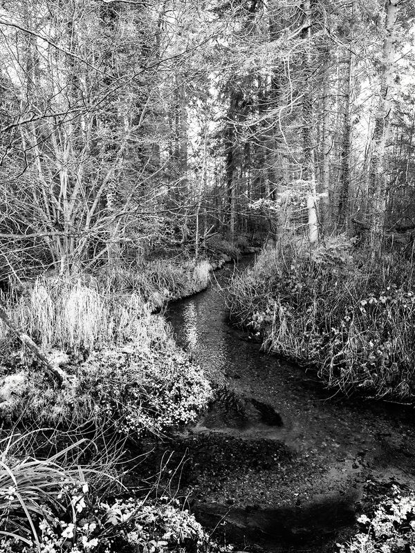 Infrared Stream..jpg