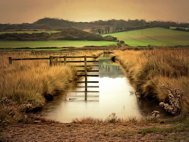 still waters.jpg