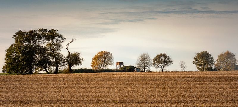 Autumn across the fields.jpg
