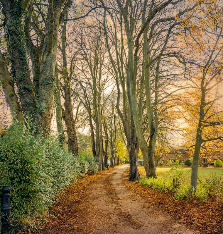 Autumn Walk.jpg
