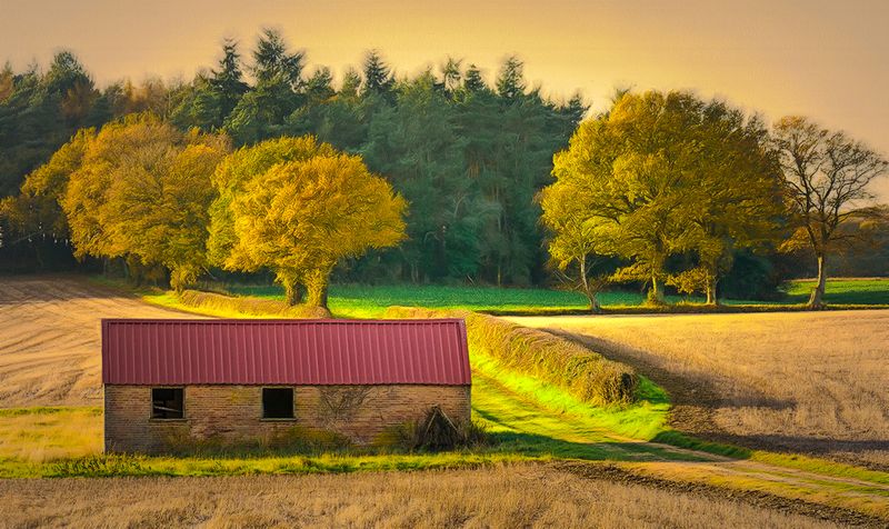 Autumn View.jpg