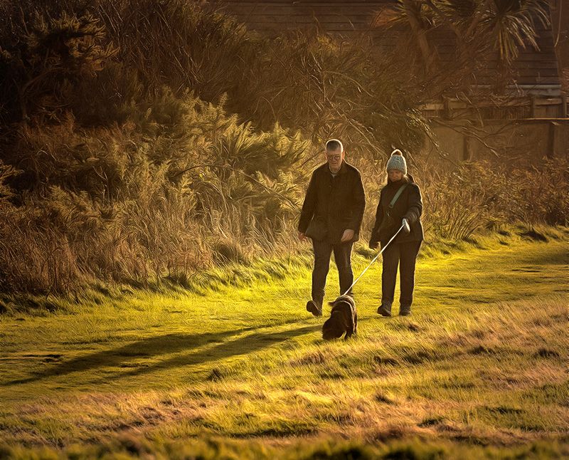 Early Morning Walk in the Frost..jpg