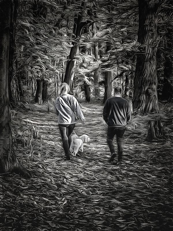 A Walk in the Woods.jpg