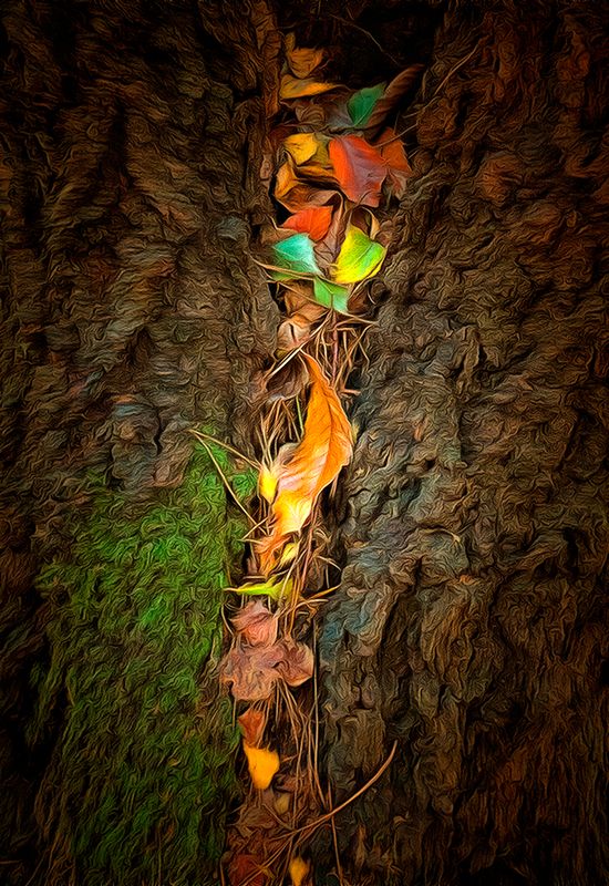 The Falling Leaves.jpg