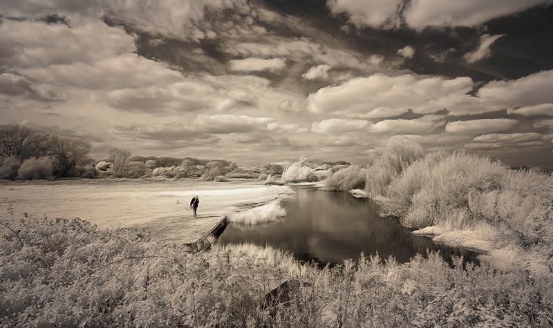 A Walk along the River Bure,North Norfolk..jpg