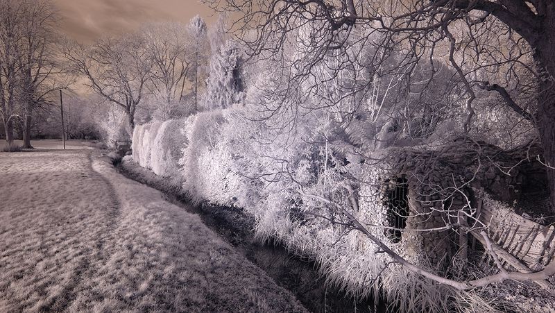 A Walk by the Stream (infrared).jpg