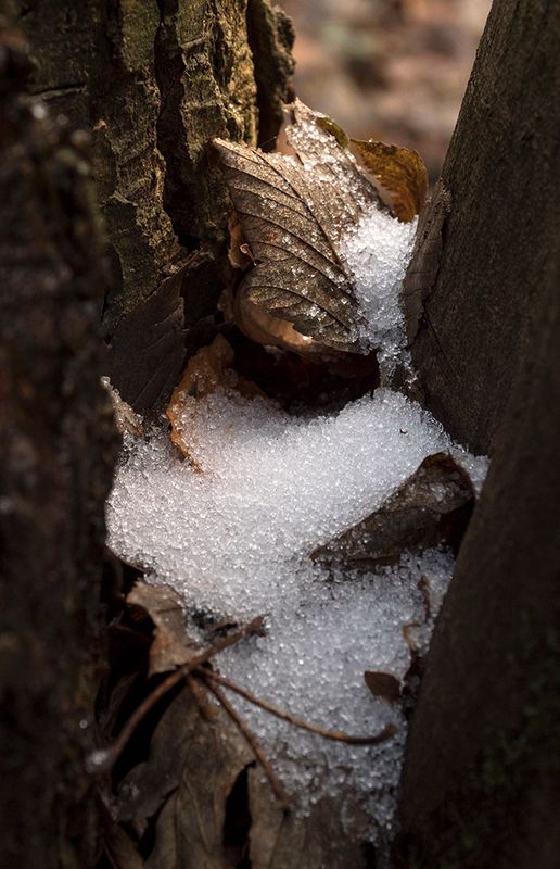 Frozen Rain.jpg