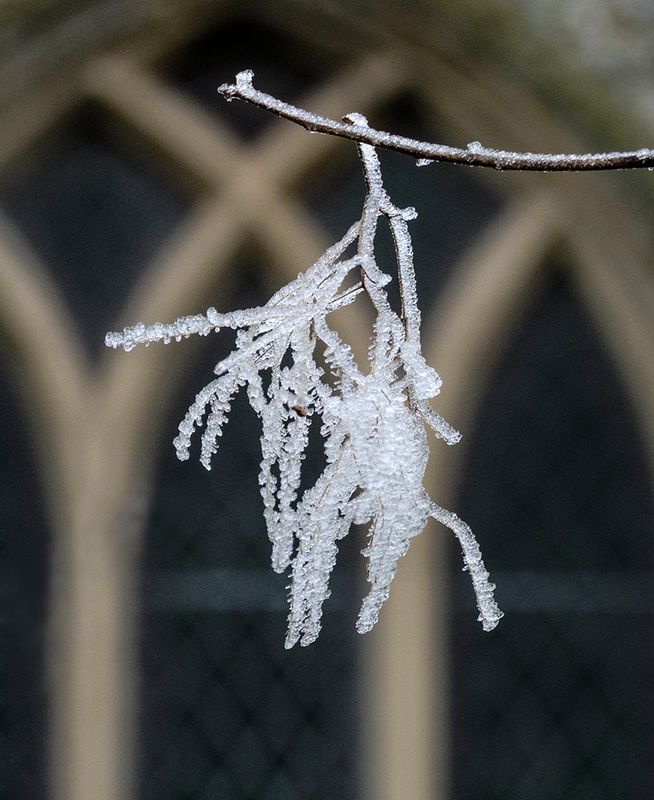 It`s a Lot Warmer in the Church..jpg
