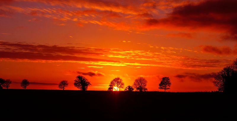 Last Light.jpg