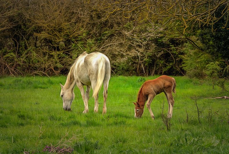 Mother and Child..jpg