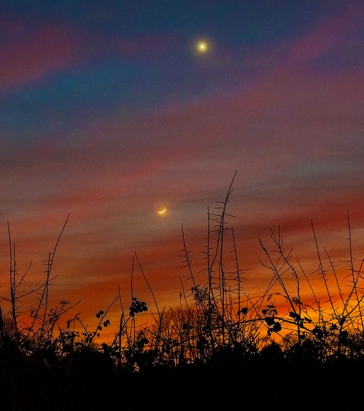 New Moon with Venus.jpg