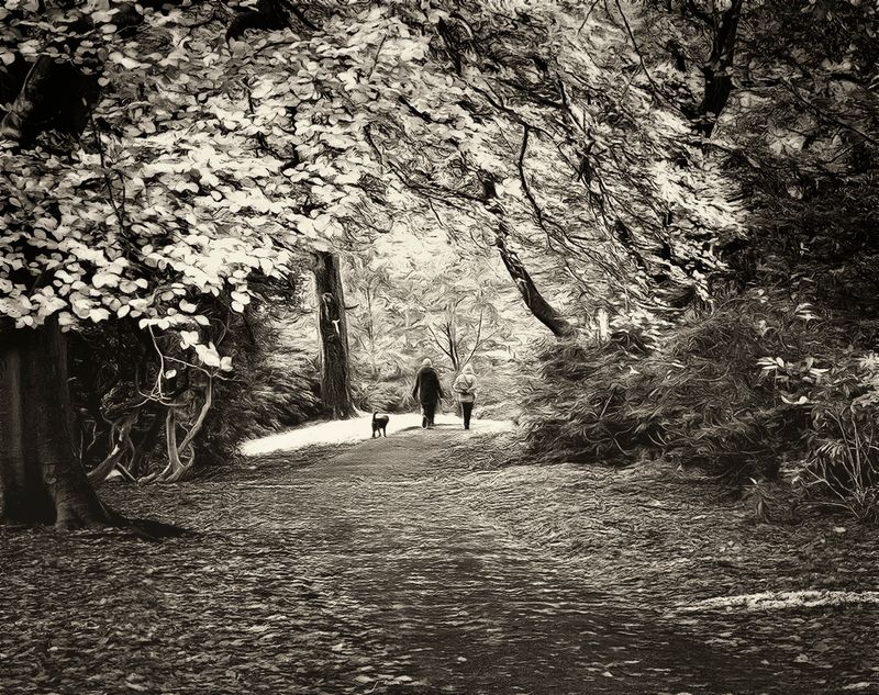 Walking the Dog (Infrared).jpg