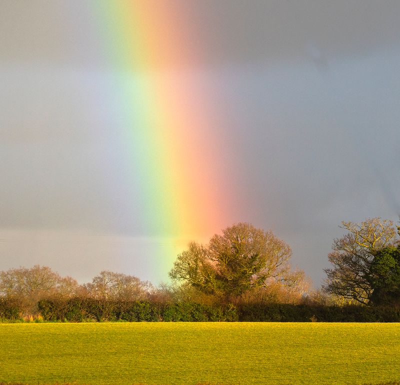 At the end of the Rainbow.jpg