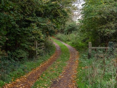 a the pathway.jpg