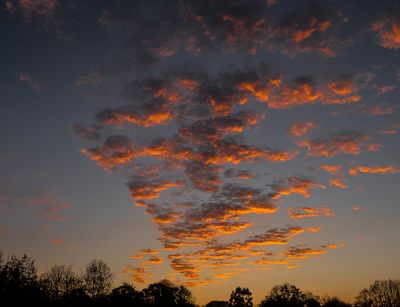 aaa sunset.jpg