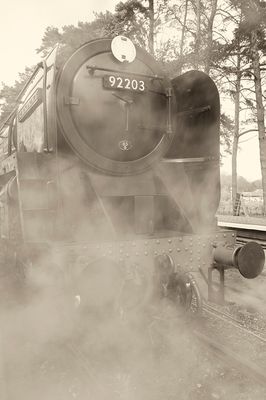 a 92203.jpg