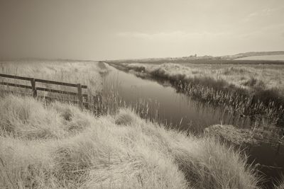 a frosty scene.jpg