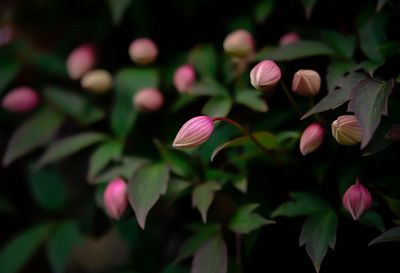 g13/53/13853/3/174081850.34c5885c.JPEG