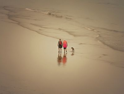 a reflections.jpg