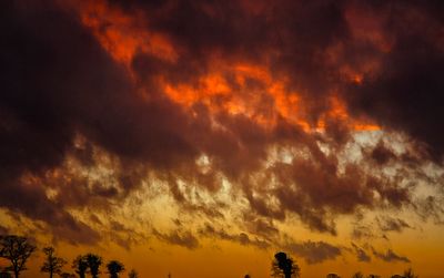 a sky alight.jpg