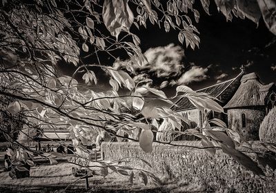 autumn in infrared.jpg
