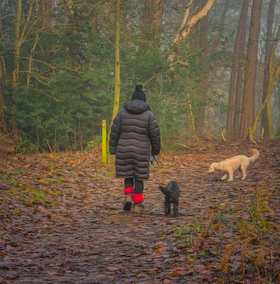 walkies.jpg