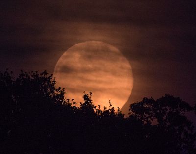Full moon rising.jpg