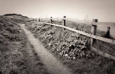 A frosty walk on the cliffs.jpg