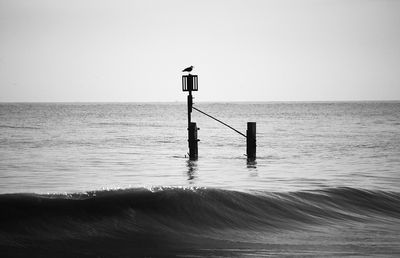 Alone.jpg