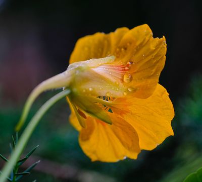 g13/53/13853/3/174488572.3f8565e5.JPEG