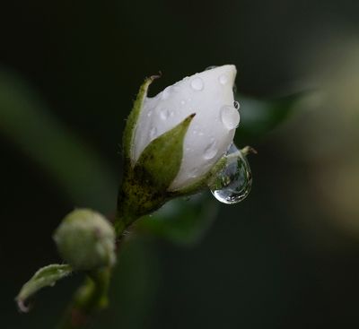 after the shower..jpg