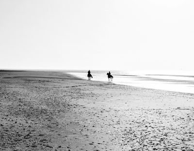 DSC_1311.jpg
