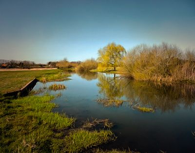 The River Bure.jpg