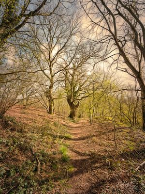 A Walk on the Wildside..jpg