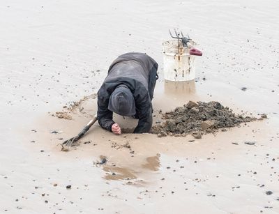Bait digger 2.jpg