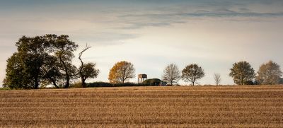 Autumn across the fields.jpg