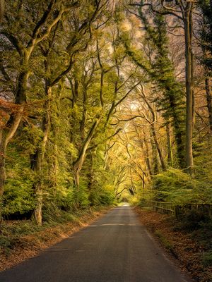 The Strait and Narrow.jpg
